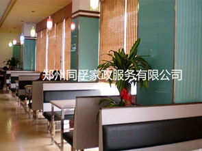 鄭州同孚家政，專業(yè)沙發(fā)保養(yǎng)服務(wù)與物業(yè)管理一體化解決方案
